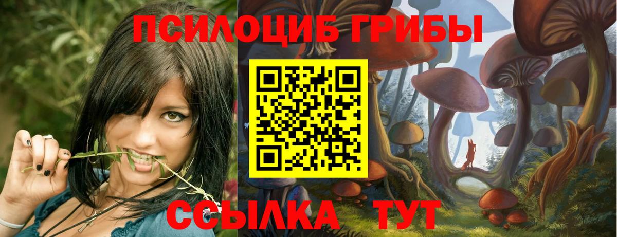 Арсеньев  Псилоцибиновые грибы MAGIC MUSHROOMS  Вход с VPN 