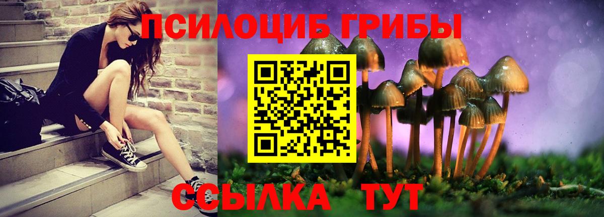 Псилоцибиновые грибы Psilocybe Арсеньев
